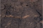 Pony Hill Petroglyphs