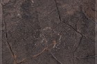 Pony Hill Petroglyphs