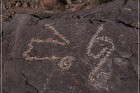 Pony Hill Petroglyphs