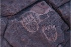 Pony Hill Petroglyphs