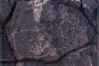 Pony Hill Petroglyphs