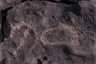 Pony Hill Petroglyphs