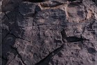 Pony Hill Petroglyphs