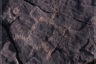 Pony Hill Petroglyphs