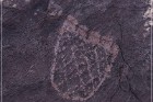 Pony Hill Petroglyphs