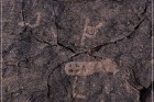 Pony Hill Petroglyphs