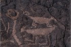 Pony Hill Petroglyphs