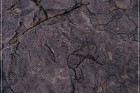 Pony Hill Petroglyphs