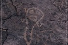 Pony Hill Petroglyphs