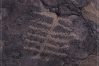 Pony Hill Petroglyphs