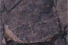 Pony Hill Petroglyphs