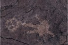 Pony Hill Petroglyphs