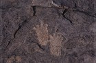 Pony Hill Petroglyphs