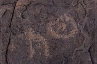Pony Hill Petroglyphs