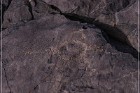 Pony Hill Petroglyphs