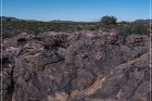 Pony Hill Petroglyphs