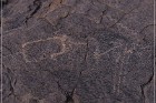 Pony Hill Petroglyphs