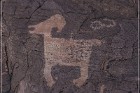 Pony Hill Petroglyphs