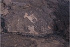 Pony Hill Petroglyphs