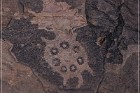 Pony Hill Petroglyphs