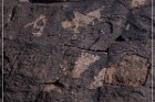 Pony Hill Petroglyphs