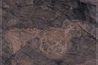 Pony Hill Petroglyphs