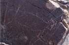 Pony Hill Petroglyphs