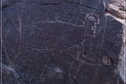 Pony Hill Petroglyphs