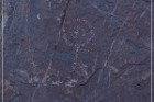 Pony Hill Petroglyphs