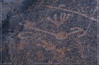 Pony Hill Petroglyphs