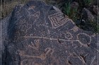 Pony Hill Petroglyphs