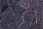 Pony Hill Petroglyphs