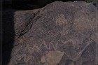 Pony Hill Petroglyphs