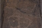 Pony Hill Petroglyphs