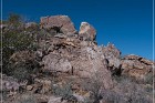 Pony Hill Petroglyphs