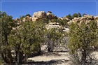 Adolfo Canyon Ruin