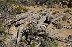 Adolfo Canyon Ruin