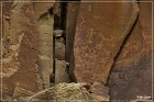 Carrizo Canyon Petroglyphs