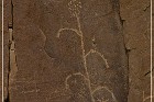Carrizo Canyon Petroglyphs
