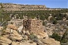 The Citadel Ruin