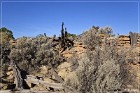 Old Fort Ruin