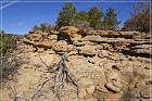 Adams Canyon