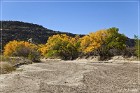 Carrizo Canyon