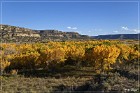 Largo Canyon
