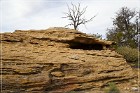 Pork Chop Ruin