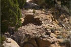 Shaft House Ruin