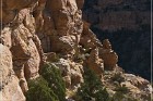Shaft House Ruin