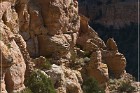 Shaft House Ruin
