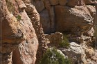 Shaft House Ruin