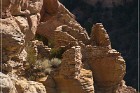 Shaft House Ruin